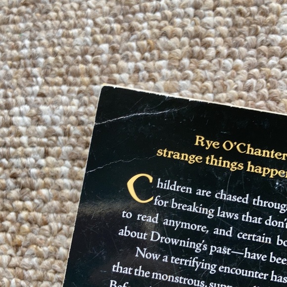 ✨ 10/$10 - The Luck Uglies by Paul Durham - Picture 9 of 10